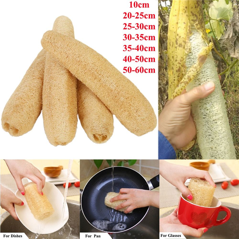 Body Loofah Natural - Natural Loofah Luffa Sponge Non-stick Long
