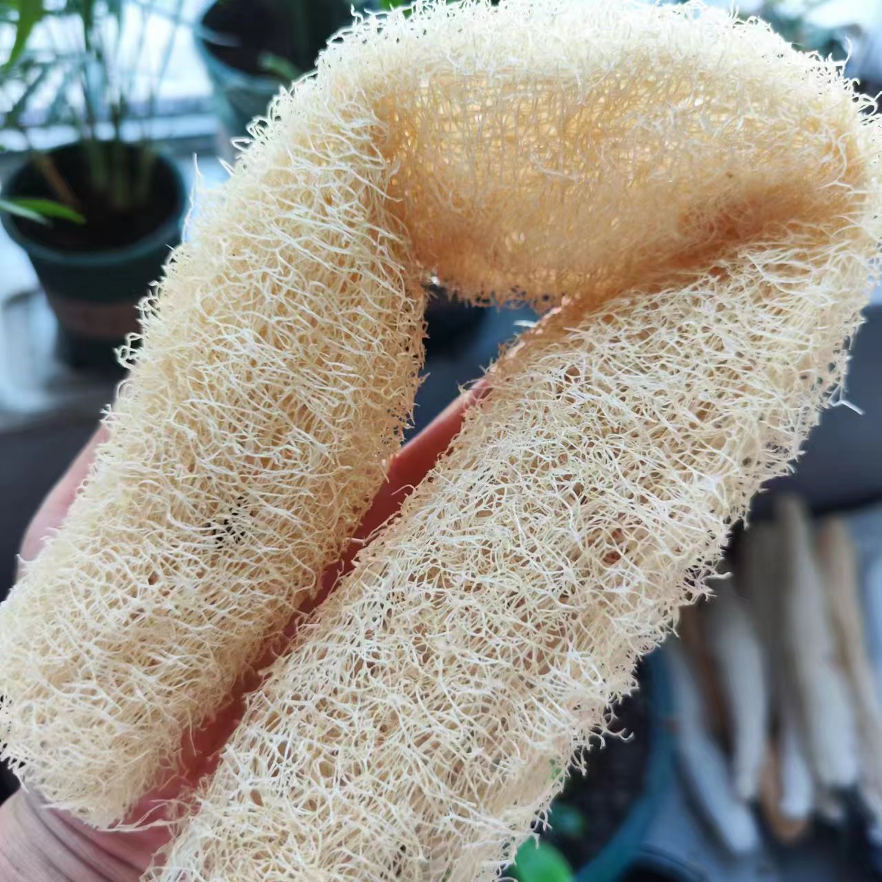 Body Loofah Natural - Marvelous Loofah Sponge Versatile from Skincare