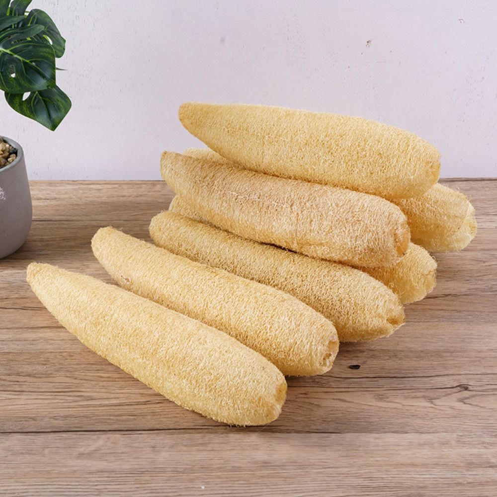 Natural Loofah Luffa Sponge No - Body Loofah Natural review and price