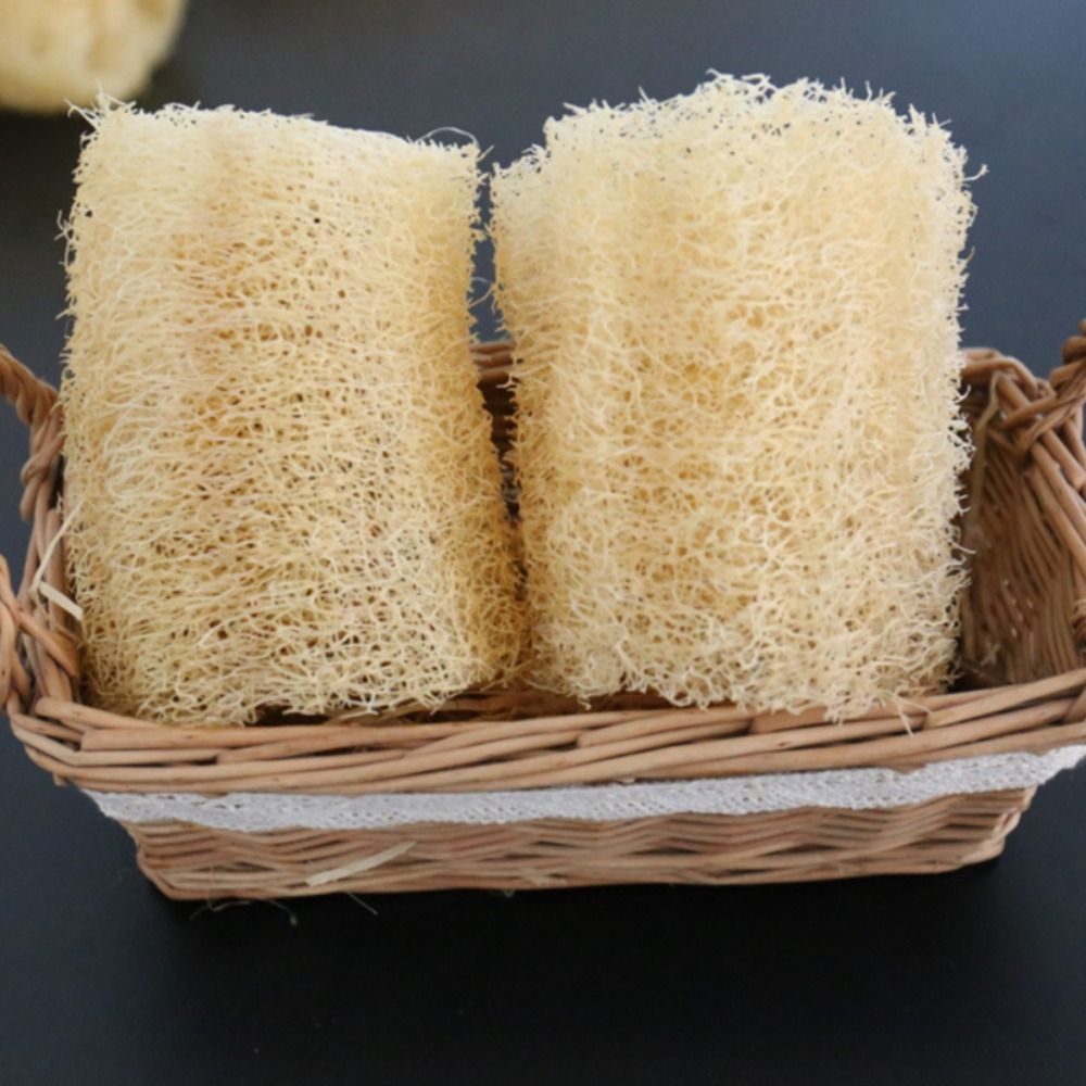 Natural Loofah Luffa Sponge No - Body Loofah Natural review and price