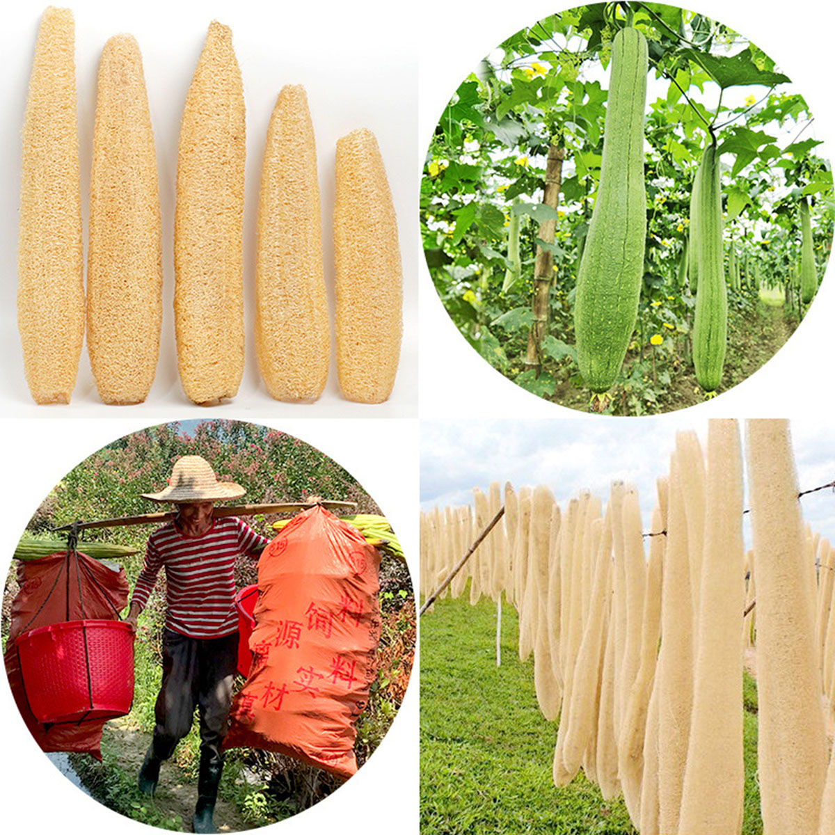 1pcs Natural Loofah Sponge Mul - Body Loofah Natural review and price