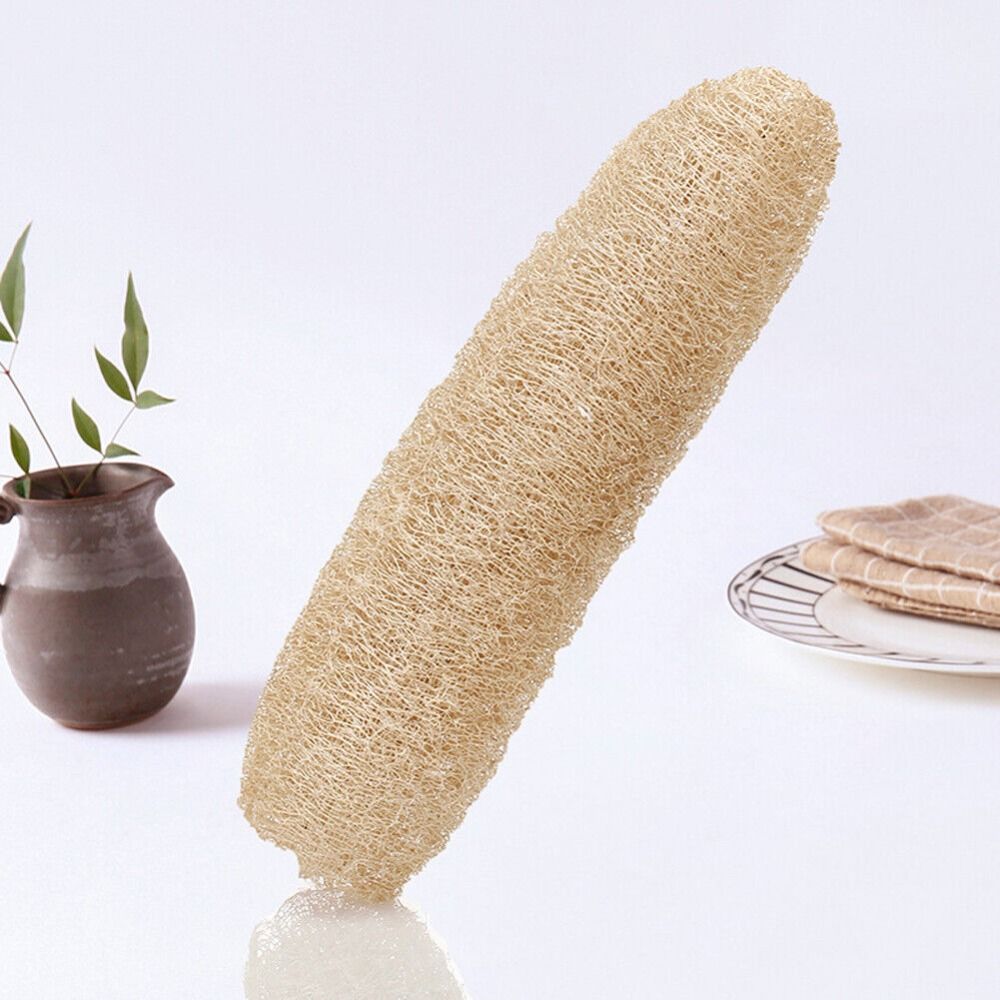 Natural Loofah Luffa Sponge Lo - Body Loofah Natural review and price
