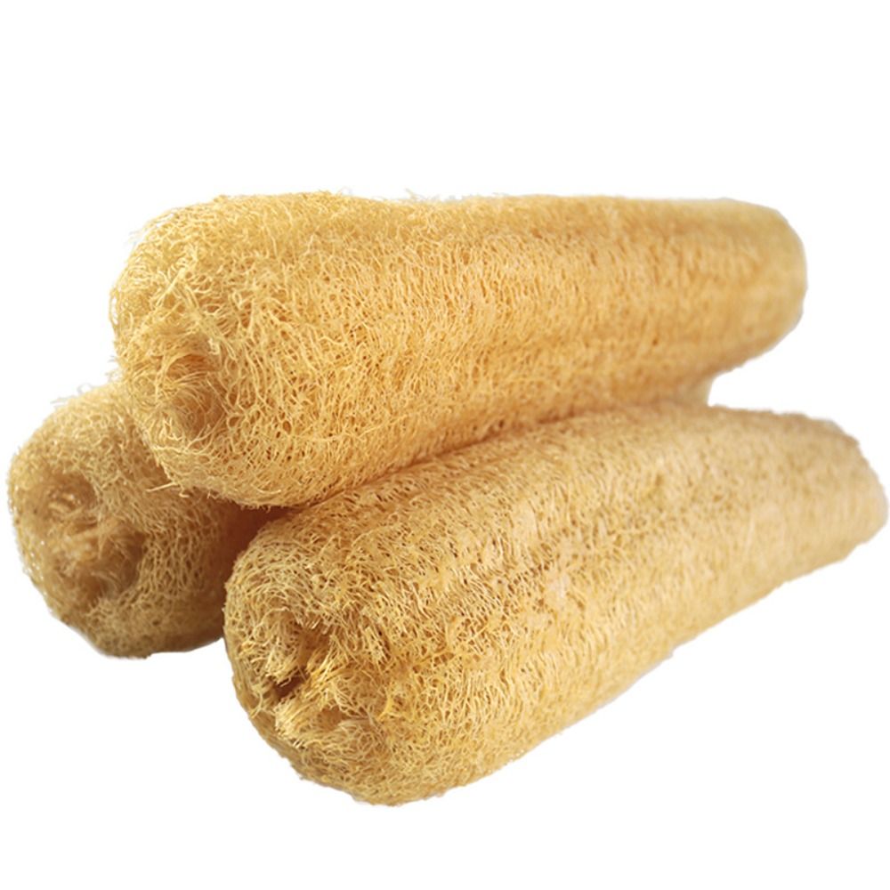 Natural Loofah Luffa Sponge Lo - Body Loofah Natural review and price
