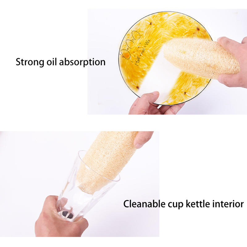 Natural Loofah Sponge For Dish - Body Loofah Natural review and price