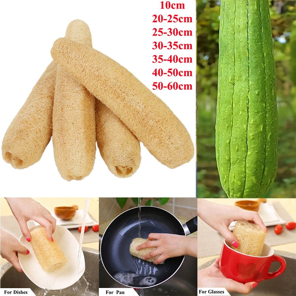 Natural Loofah Luffa Sponge Lo - Body Loofah Natural review and price