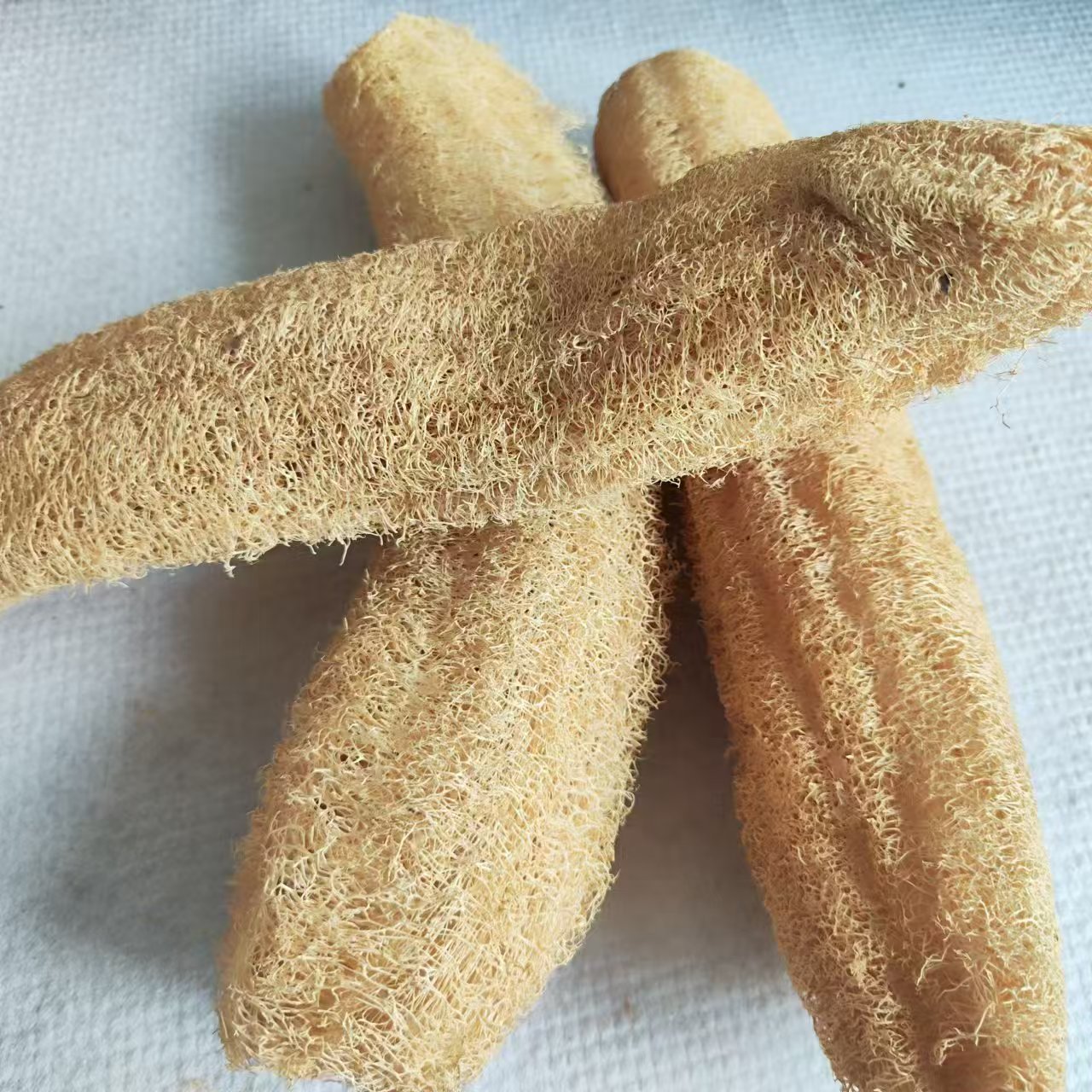 Marvelous Loofah Sponge Versat - Body Loofah Natural review and price